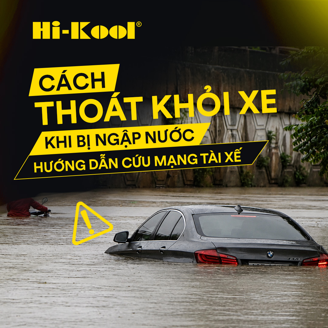 Cách Thoát Khỏi Xe Khi Bị Ngập Nước – Hướng Dẫn Cứu Mạng Tài Xế