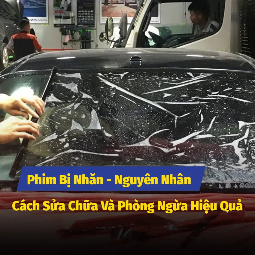 Phim Bị Nhăn - Nguyên Nhân, Cách Sửa Chữa Và Phòng Ngừa Hiệu Quả