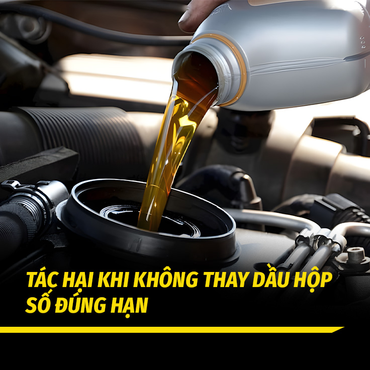 Tác Hại Khi Không Thay Dầu Hộp Số Đúng Hạn – Đừng Chủ Quan Kẻo Tiền Mất Tật Mang